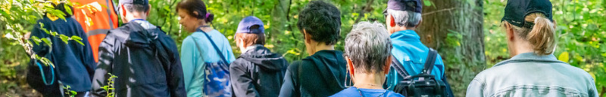 Website Banner Slider (1240 x 200 px)