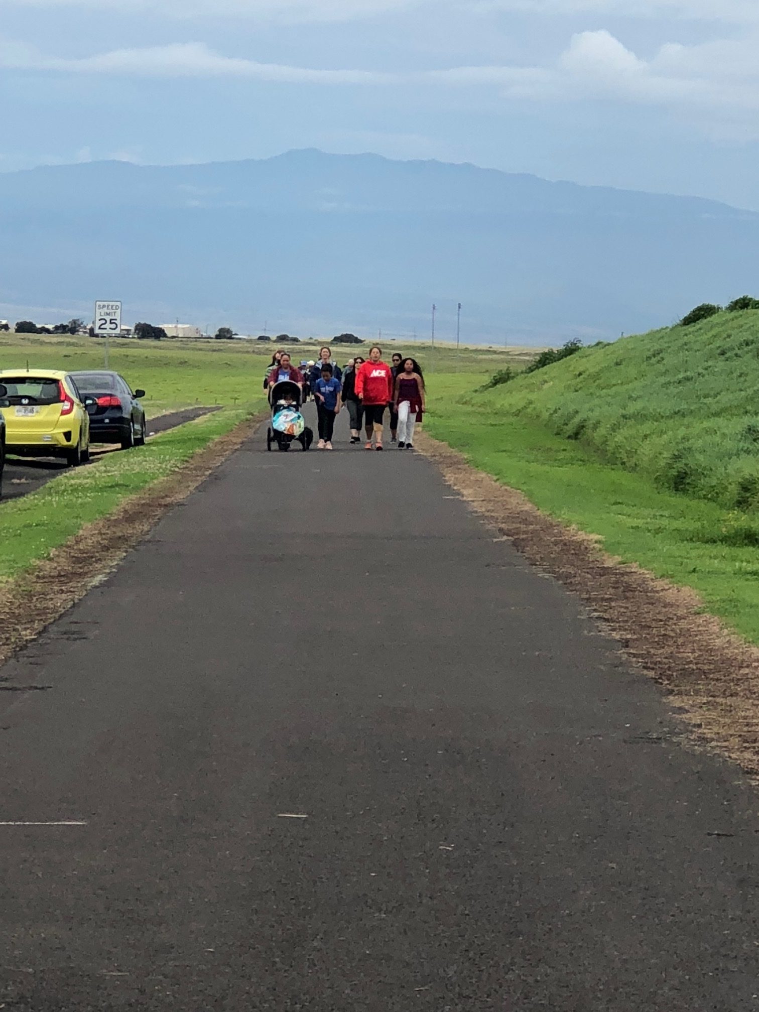 Kamuela, Hawaii Walk with a Doc